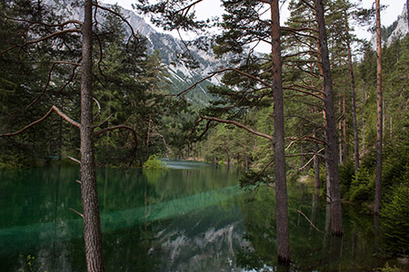 Vom Wald heraus Blick auf den Grünen See